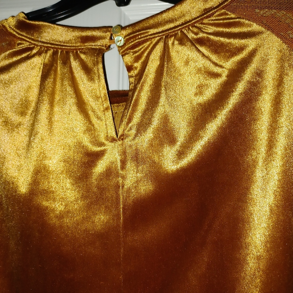 Velvet long sleeved lace sleeves.  The color is brick. - Picture 5 of 9
